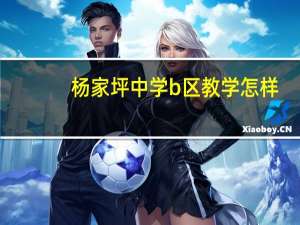 杨家坪中学b区教学怎样