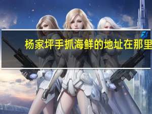 杨家坪手抓海鲜的地址在那里