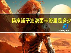 杨家铺子 油泼面卡路里是多少