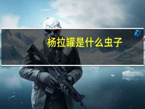 杨拉罐是什么虫子