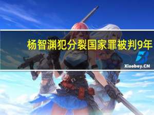 杨智渊犯分裂国家罪被判9年