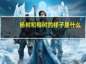 杨树和榕树的样子是什么