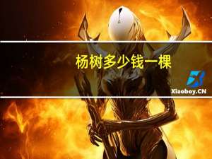 杨树多少钱一棵