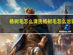 杨树毛怎么清洗 杨树毛怎么治理