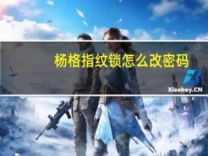 杨格指纹锁怎么改密码