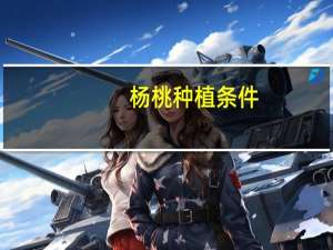 杨桃种植条件