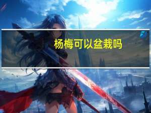 杨梅可以盆栽吗