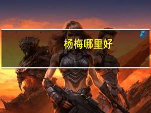 杨梅哪里好