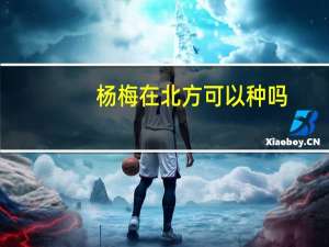 杨梅在北方可以种吗