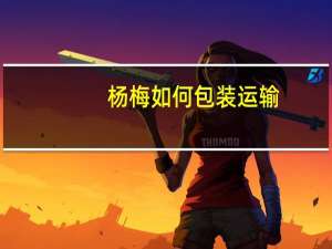 杨梅如何包装运输