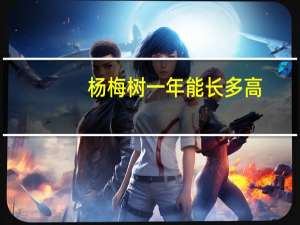 杨梅树一年能长多高