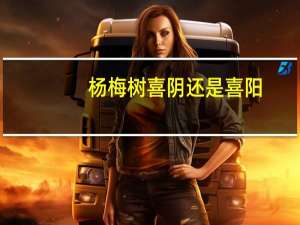 杨梅树喜阴还是喜阳