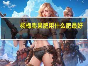 杨梅膨果肥用什么肥最好
