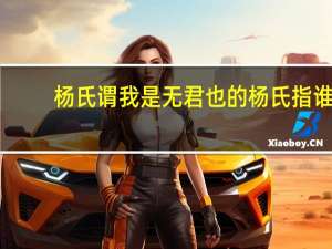 杨氏谓我是无君也的杨氏指谁