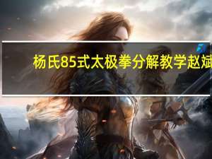 杨氏85式太极拳分解教学赵斌（赵斌杨氏85式太极拳）