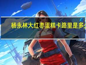 杨永林 大红枣蛋糕卡路里是多少