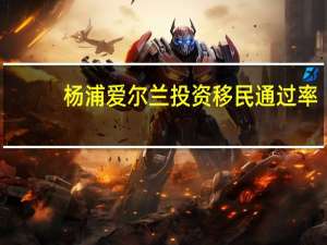 杨浦爱尔兰投资移民通过率