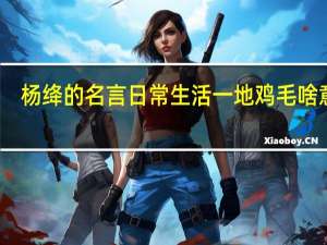 杨绛的名言日常生活一地鸡毛啥意思