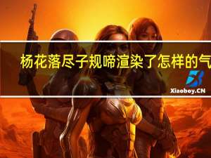 杨花落尽子规啼渲染了怎样的气氛