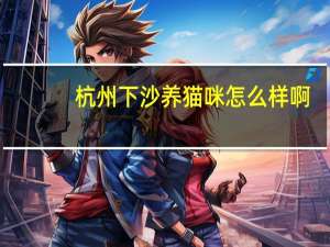 杭州下沙养猫咪怎么样啊