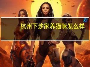 杭州下沙家养猫咪怎么样