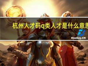 杭州人才码q类人才是什么意思