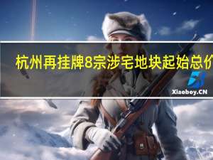 杭州再挂牌8宗涉宅地块起始总价85.89亿元