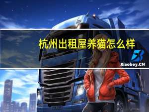 杭州出租屋养猫怎么样
