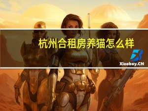 杭州合租房养猫怎么样
