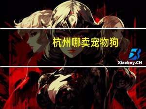 杭州哪卖宠物狗