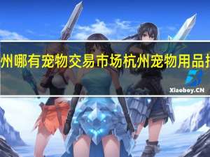 杭州哪有宠物交易市场 杭州宠物用品批发市场