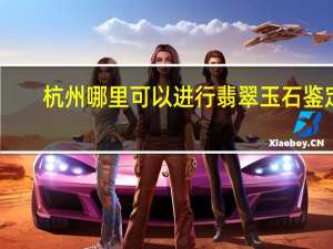 杭州哪里可以进行翡翠玉石鉴定
