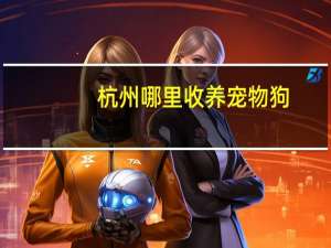 杭州哪里收养宠物狗