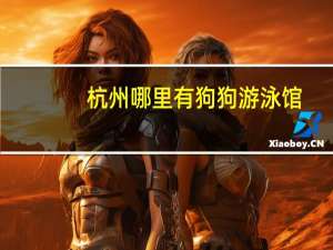 杭州哪里有狗狗游泳馆