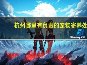杭州哪里有负责的宠物寄养处