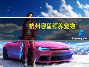 杭州哪里领养宠物