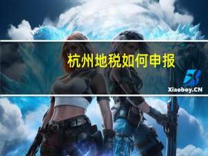 杭州地税如何申报