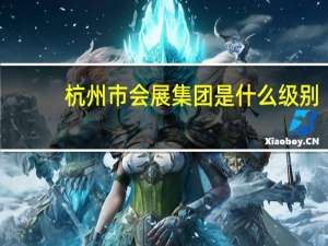 杭州市会展集团是什么级别