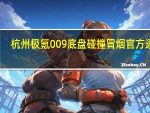 杭州极氪009底盘碰撞冒烟 官方通报：未出现热失控 无过火痕迹