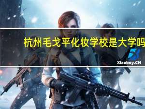 杭州毛戈平化妆学校是大学吗