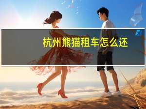 杭州熊猫租车怎么还