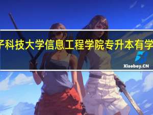 杭州电子科技大学信息工程学院专升本有学士学位证书吗
