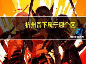 杭州留下属于哪个区