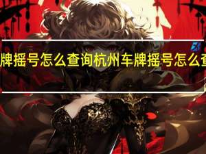 杭州车牌摇号怎么查询 杭州车牌摇号怎么查看摇号结果