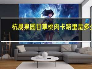 杭晟果园甘草桃肉卡路里是多少