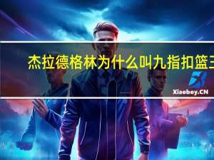 杰拉德格林为什么叫九指扣篮王