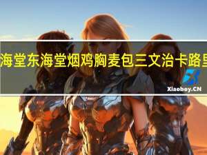 東海堂 东海堂 烟鸡胸麦包三文治卡路里是多少