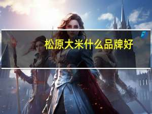松原大米什么品牌好