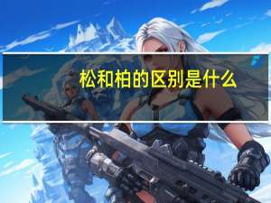 松和柏的区别是什么