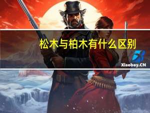 松木与柏木有什么区别
